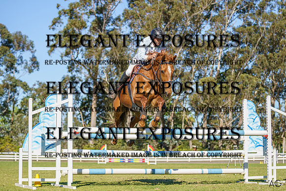 _AJG5427