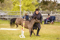 _AJG9274