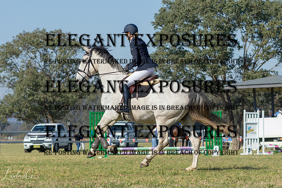 LLIMG_7174-