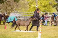 _AJG9255