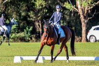 LHL(OS)-3527