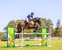 KMS-1293