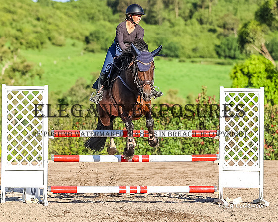 LHL(MS)-0527