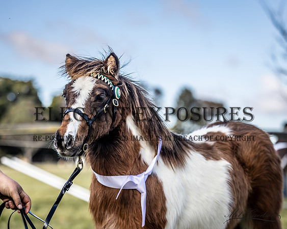MKG_0711