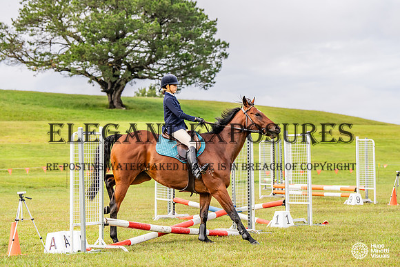 HM_8319