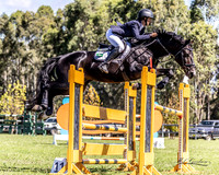 Showjumping