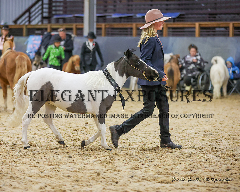 Elegant Exposures | AMHS - Winter - Classes 1-19 30.06.2024