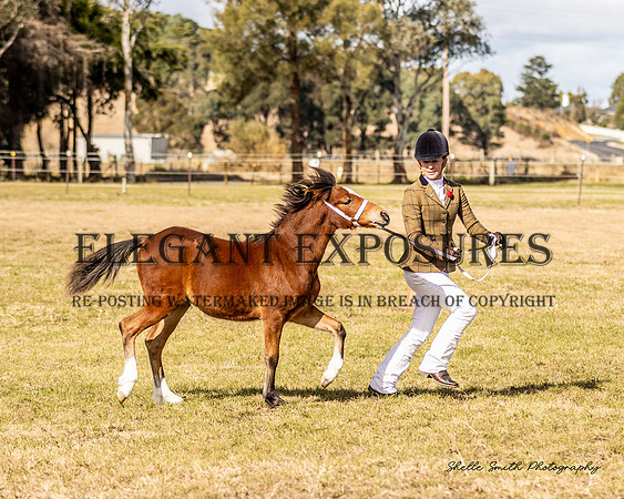 MAS-0892