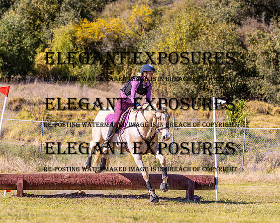 KMS-4605