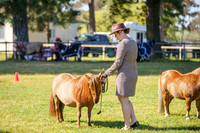 _AJG5629