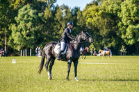 _AJG6519