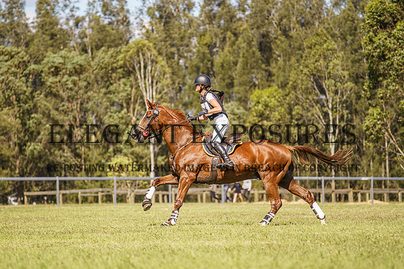 _AJG9621