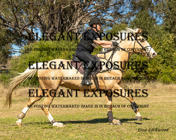 LHL(MS)-8316