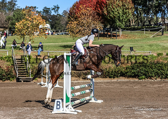 LHL(MS)-7030