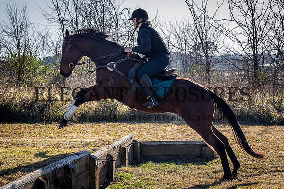 MHP_0238