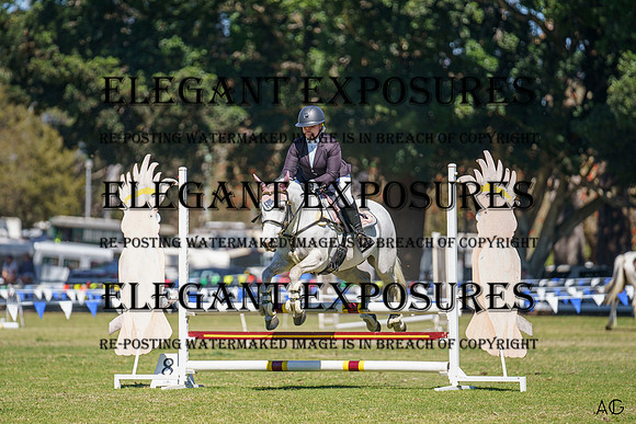 _AJG4396