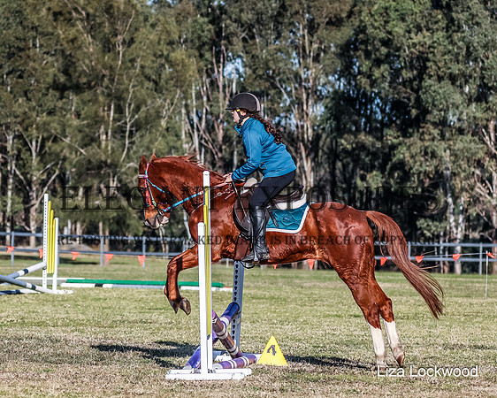 LHL_0438