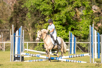 _AJG3886