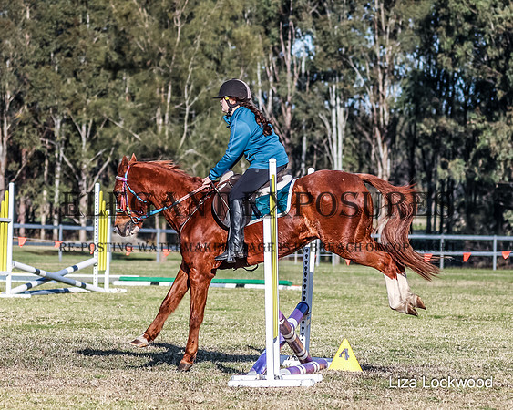 LHL_0439