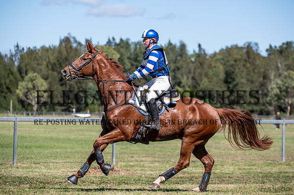 OLS_1516