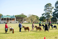 _AJG5620