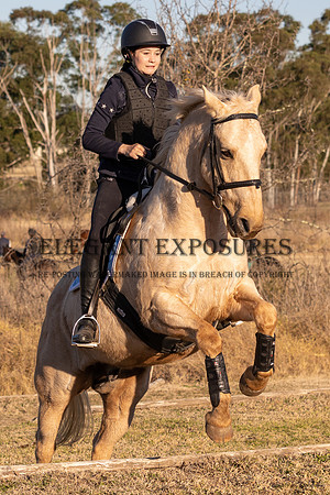 MHP_1528