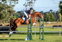 Showjumping