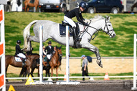 W/SJ - Sat - Ring 3 - 22a/b - 90cm Adult/Junior - 10.08.2024