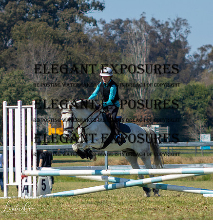 LLIMG_7370-