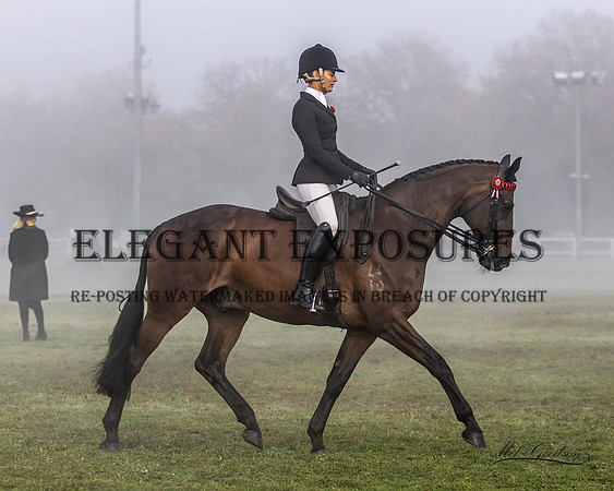 MKG-4087