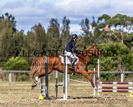 MAS_2626