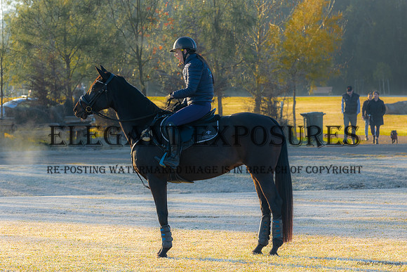 MHP_0024