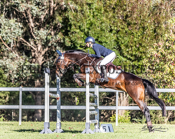 MKG_7974
