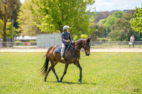 _AJG7252
