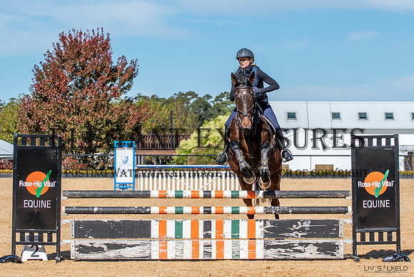 OLS_3039