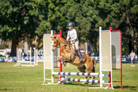 Nowra SJ - Ring 2 - Class 28 - 45cm - 20.9.2026