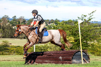 LHL(OS)-4906