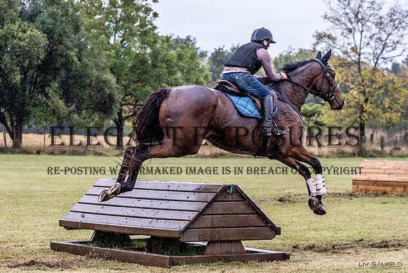 OLS_2596