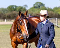 ASHS - Allrounder Showcase - Ring 2 - (PARTLOAD) - 24.10.2026