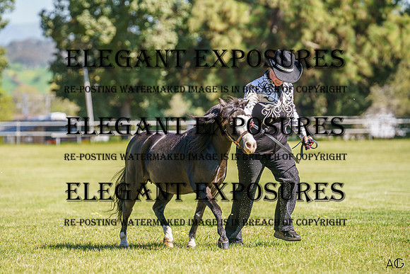_AJG5921