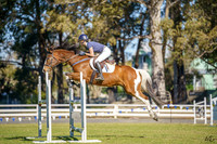 _AJG5397