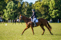 _AJG6597