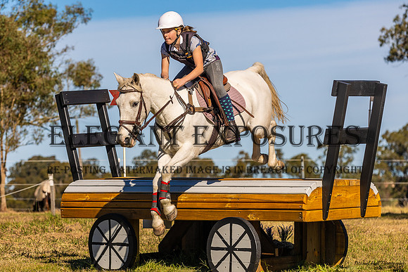 MHP_1055