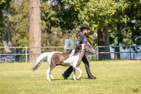 _AJG5726