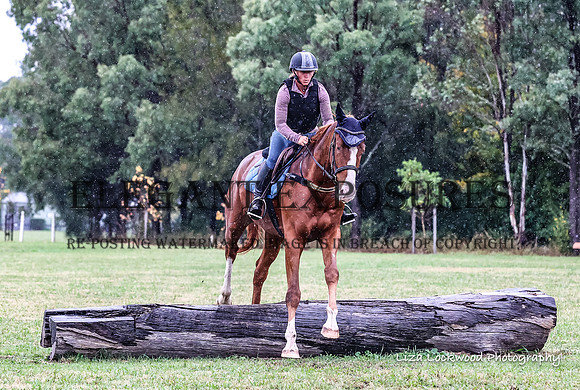 LHL(MS)-8883