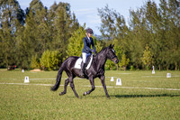 _AJG6545