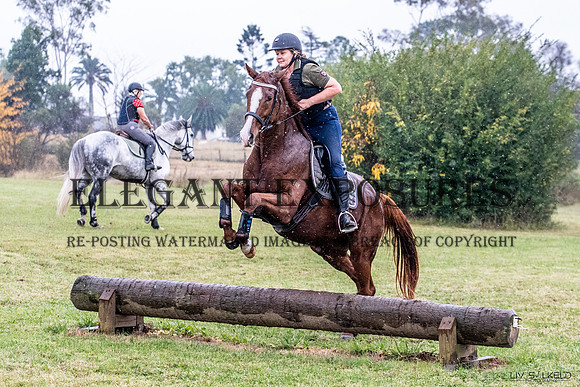 OLS_1951
