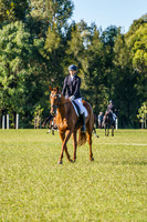 _AJG6557