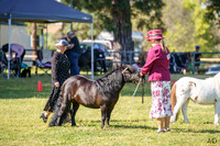 _AJG5647