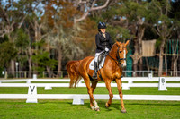 SM-DSC00756